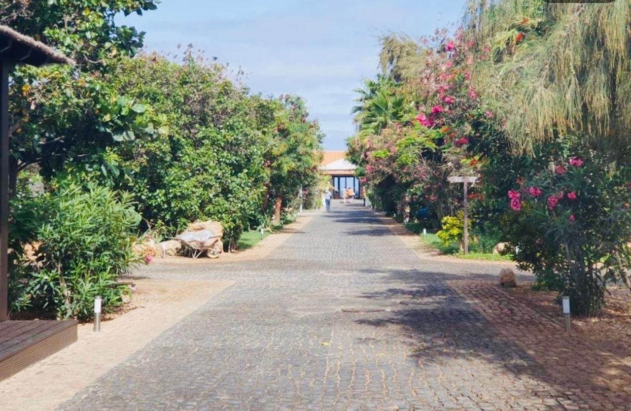 Villa With Privat Pool Near Beach Santa Maria Sal Kap Verde Exterior photo