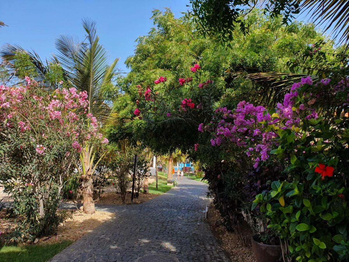 Villa With Privat Pool Near Beach Santa Maria Sal Kap Verde Exterior photo